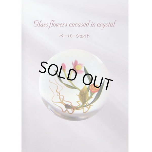 画像1: Glass flowers encased in crystal by CHRIS BUZZINI /DVD